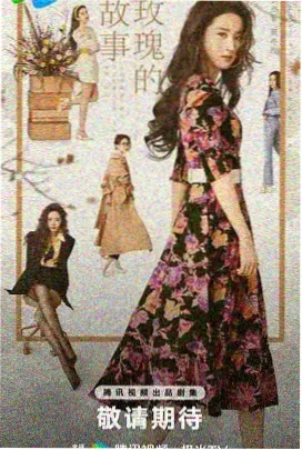 东京第七码 日本剧情剧集封面