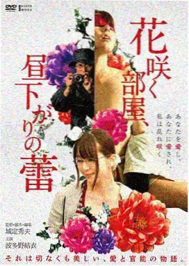 雾港回声 缩略图